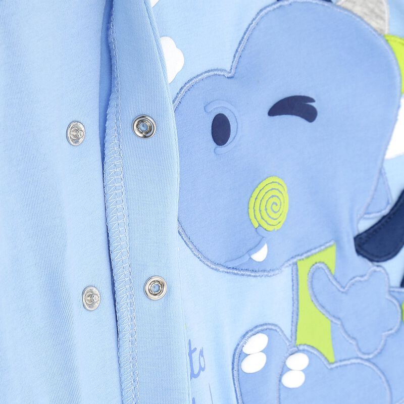 Boys Medium Light Blue Printed Front Opening Babysuit image number null